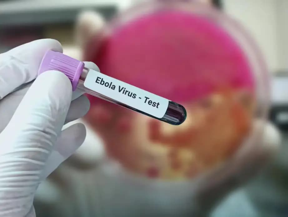 Ebola toll tops 200, other African countries seen at risk