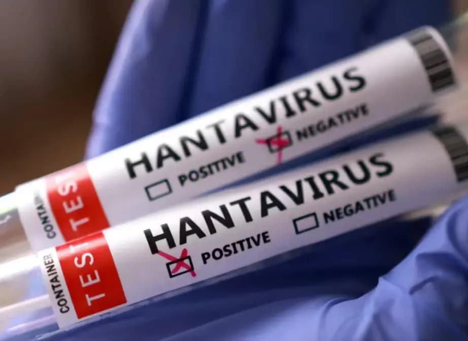 WHO says six hantavirus cases confirmed so far