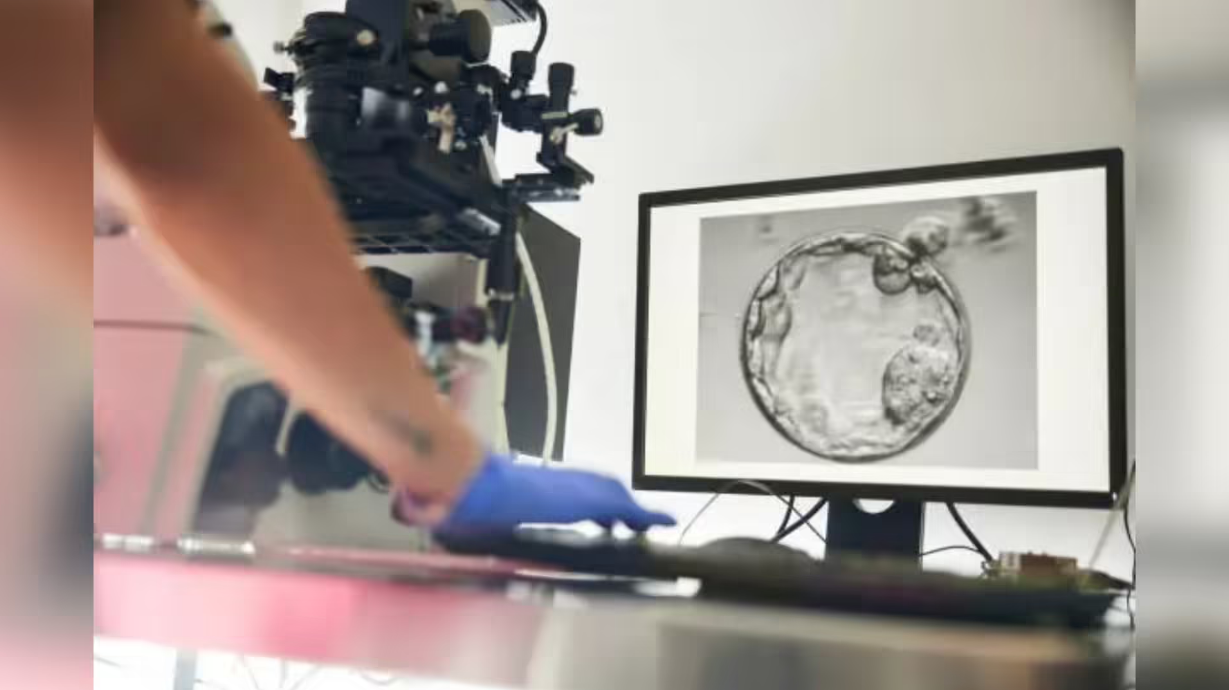 IVF laboratory setup with microscope and embryo image on monitor showing fertilization process in fertility treatment