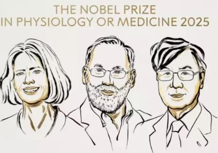 Nobel Prize in Physiology or Medicine 2025 winners illustration showing three scientists honored for immune system research