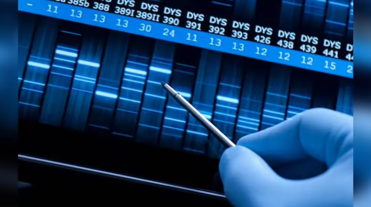 DNA sequencing analysis in a laboratory showing genetic data bands with a researcher examining results using a probe
