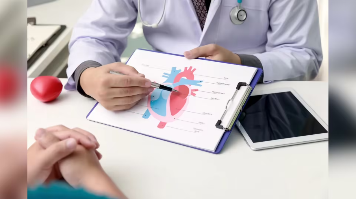 Doctor explaining heart anatomy to patient using medical chart during cardiology consultation