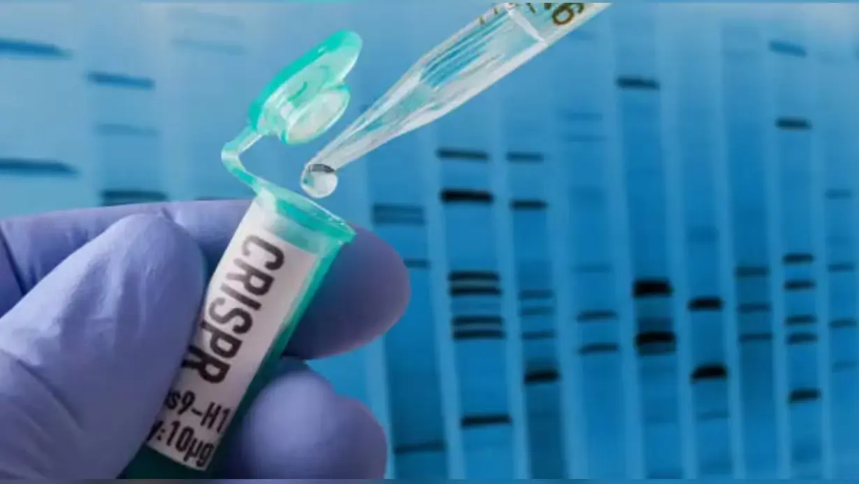 CRISPR gene editing experiment in laboratory showing pipette transferring sample into test tube for DNA modification research