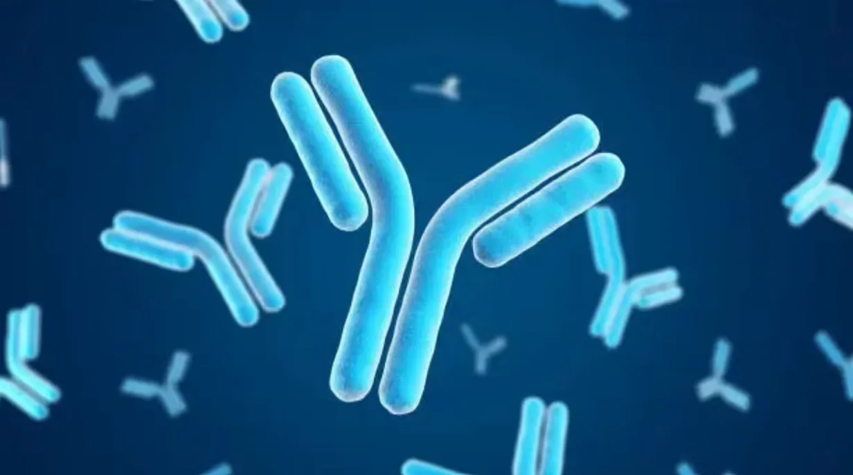 Illustration of antibodies targeting viruses for measles prevention and immunotherapy research